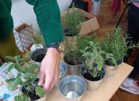 DRUGA RADIONICA LJEKOVITO BILJE